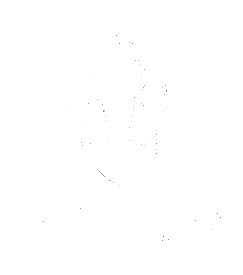 Chameleon Festival Logo